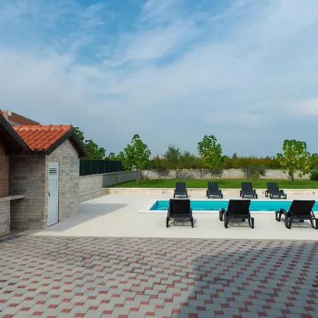 Verbena * Mala Cista