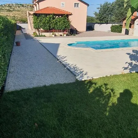 Verbena Mala Cista