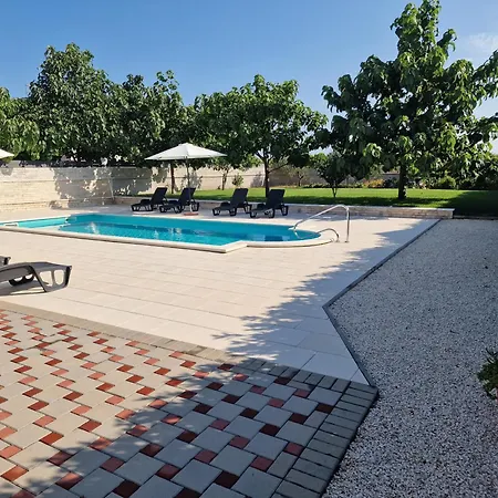 Verbena * Mala Cista