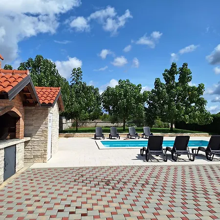 Verbena * Mala Cista